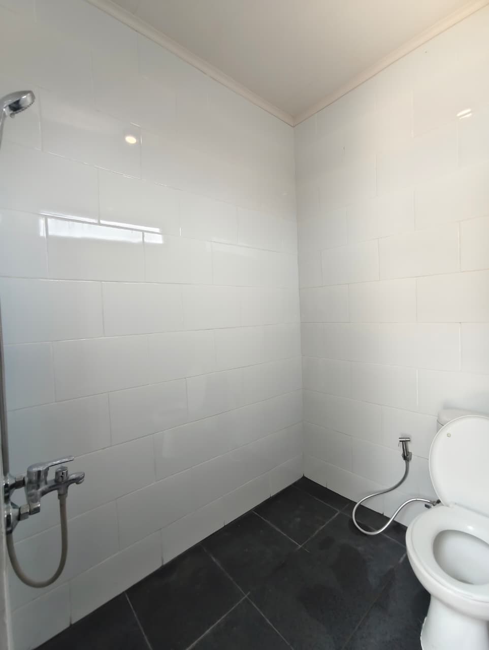 Villa Pinus M31